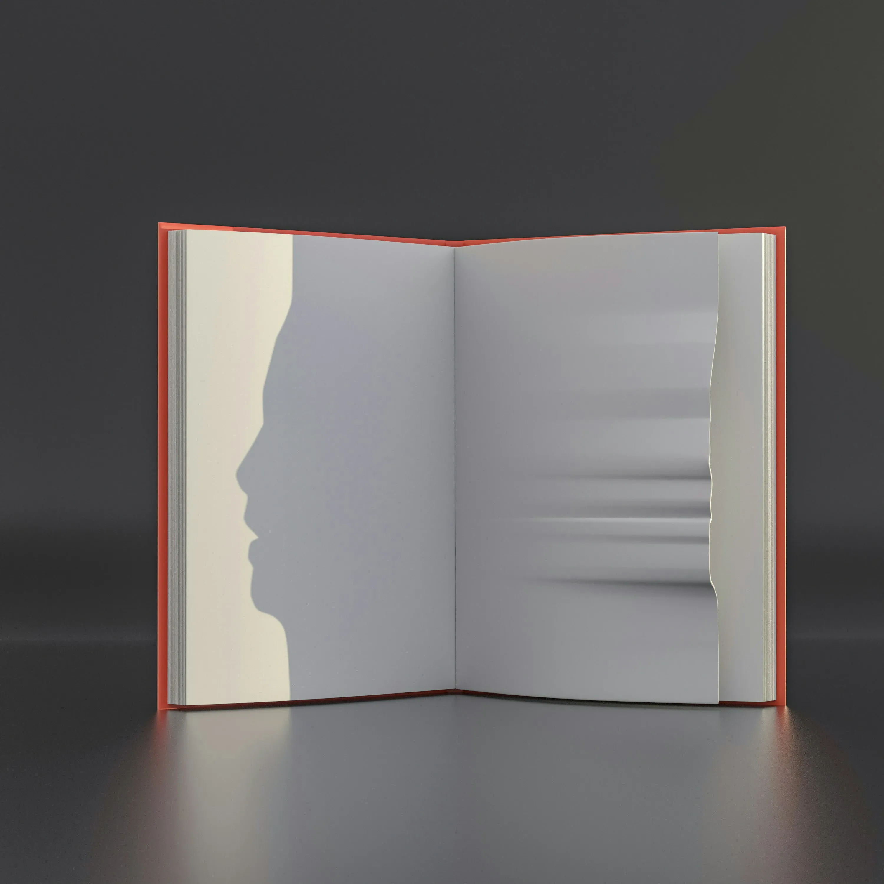 Picture of a opened notebook.